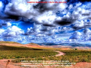 CAMPOS MANCHEGOS Y RUTA DEL QUIJOTE. 
PARECE, SANCHO, QUE NO HAY REFRÁN QUE NO SEA 
VERDADERO PORQUE TODOS SON SENTENCIAS SACADAS DE 
LA MISMA EXPERIENCIA, MADRE DE TODAS LAS CIENCIAS. 
 