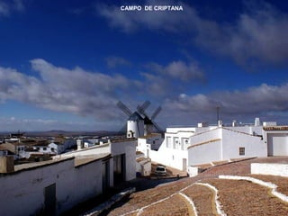 CAMPO DE CRIPTANA 
 