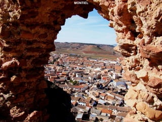 MONTIEL 
 
