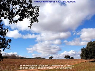 CAMPOS MANCHEGOS Y RUTA DEL QUIJOTE. 
EL AGRADECIMIENTO QUE SÓLO CONSISTE EN EL DESEO, 
ES COSA MUERTA, COMO ES MUERTA LA FE SIN OBRAS 
 