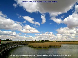 PARQUE NATURAL DE LAS TABLAS DE DAIMIEL 
LA VIRTUD ES MÁS PERSEGUIDA POR LOS MALOS QUE AMADA DE LOS BUENOS 
 