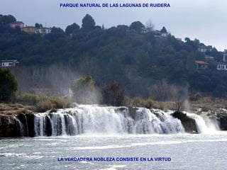 PARQUE NATURAL DE LAS LAGUNAS DE RUIDERA 
LA VERDADERA NOBLEZA CONSISTE EN LA VIRTUD 
 