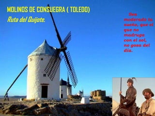 MOLINOS DE CONSUEGRA ( TOLEDO)

Ruta del Quijote.

Sea
moderado tu
sueño, que el
que no
madruga
con el sol,
no goza del
día.

 