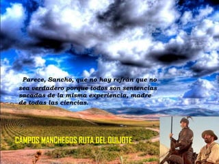 Parece, Sancho, que no hay refrán que no
sea verdadero porque todos son sentencias
sacadas de la misma experiencia, madre
de todas las ciencias.

CAMPOS MANCHEGOS RUTA DEL QUIJOTE.

 