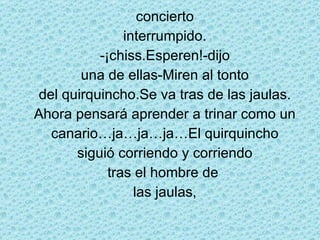 concierto interrumpido. -¡chiss.Esperen!-dijo una de ellas-Miren al tonto del quirquincho.Se va tras de las jaulas. Ahora pensará aprender a trinar como un canario…ja…ja…ja…El quirquincho siguió corriendo y corriendo tras el hombre de  las jaulas, 
