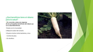 ¿Qué beneficios tiene el rábano
para la salud?
1.En concreto, estas son algunas
de los principales beneficios del rábano pa
ra tu salud:Beneficios
1Acaba con la mucosidad.
2.Mejora la salud del corazón.
3.Ayuda a luchar contra bacterias y virus.
1.Control de peso.
2.Es diurético.
 