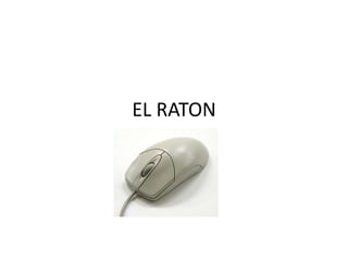 EL RATON
 