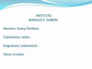 INSTITUTO
ROMULO E. DURON.
Nombre: Suany Orellana
Catedrático: Isidro
Asignatura: Laboratorio
Tema: el ratón
 