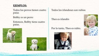 EJEMPLOS:
Todos los perros tienen cuatro
patas
Bobby es un perro
Entonces, Bobby tiene cuatro
patas.
Todos los irlandeses son rubios
Theo es irlandés
Por lo tanto, Theo es rubio.
 