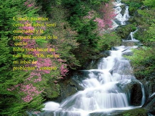 Cuando pasamos cerca del árbol, sentí curiosidad y le pregunté acerca de lo que lo  había visto hacer un rato antes. "Oh, ese es mi árbol de problemas", contestó 