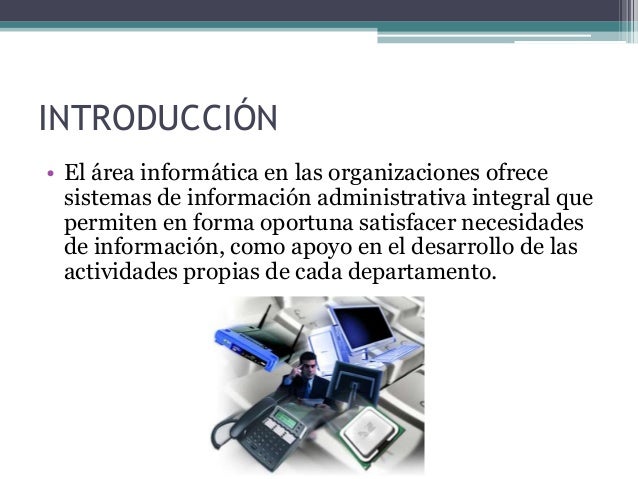 El área informática en las organizaciones