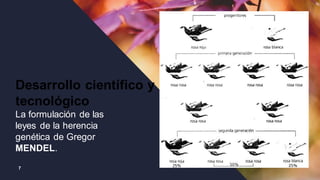 7
Desarrollo científico y
tecnológico
La formulación de las
leyes de la herencia
genética de Gregor
MENDEL.
