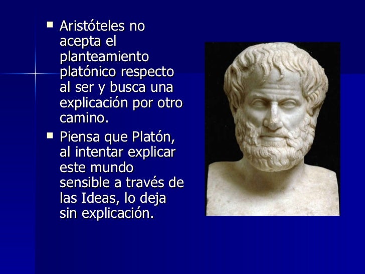 El realismo aristotélico
