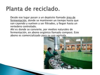 Desde ese lugar pasan a un depósito llamado área de
fermentación, donde se mantienen un tiempo hasta que
van cayendo y vuelven a ser filtrados, y llegan hasta un
vertedero controlado.
Ahí es donde se convierte, por medios naturales de
fermentación, en abono orgánico llamado compost. Este
abono es comercializado para su uso agrícola.
 