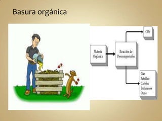 Basura orgánica

 