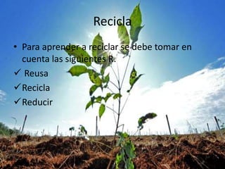 Recicla
• Para aprender a reciclar se debe tomar en
cuenta las siguientes R.
Reusa
Recicla
Reducir
