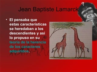 Jean Baptiste Lamarck
• El pensaba que
  estas características
  se heredaban a los
  descendientes y así
  lo propuso en su
  teoría de la herencia
  de los caracteres
  adquiridos.
 
