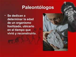 Paleontólogos
• Se dedican a
  determinar la edad
  de un organismo
  fosilizado, ubicarlo
  en el tiempo que
  vivió y reconstruirlo.
 