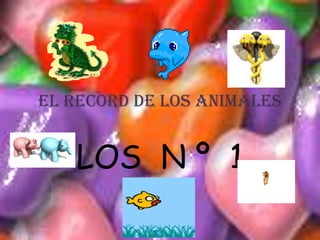 EL RECORD DE LOS ANIMALES LOS  N º  1 
