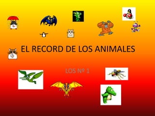 EL RECORD DE LOS ANIMALES LOS Nº 1 