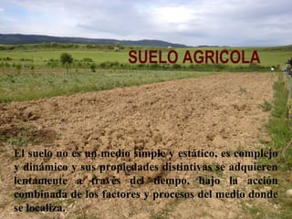 SUELO AGRICOLA
El suelo no es un medio simple y estático, es complejo
y dinámico y sus propiedades distintivas se adquieren
lentamente a través del tiempo, bajo la acción
combinada de los factores y procesos del medio donde
se localiza.
 