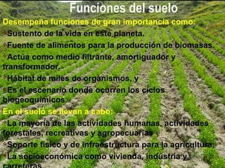 Funciones del suelo
Desempeña funciones de gran importancia como:
Sustento de la vida en este planeta.
Fuente de alimentos para la producción de biomasas.
Actúa como medio filtrante, amortiguador y
transformador.
Hábitat de miles de organismos, y
Es el escenario donde ocurren los ciclos
biogeoquímicos.
En el suelo se llevan a cabo:
La mayoría de las actividades humanas, actividades
forestales, recreativas y agropecuarias
Soporte físico y de infraestructura para la agricultura,
La socioeconómica como vivienda, industria y
 