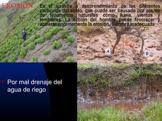  Por mal drenaje del
agua de riego
Es el arrastre o desprendimiento de las diferentes
partículas del suelo, que puede ser causado por acción
de fenómenos naturales como lluvia, vientos y
temblores. La acción del hombre puede favorecer y
acelerar enormemente la erosión. Siembra inadecuada
EROSIÓN
 