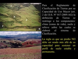 Para el Reglamento de
Clasificación de Tierras por su
Capacidad de Uso Mayor (art.
2 del D.S. Nº 017-2009-AG) la
definición de Tierras se
restringe a los componentes:
clima (zonas de vida), suelo y
relieve sobre las cuales se
elaboró el sistema de
Clasificación.
La regla es que un predio NO
debe ser usado más allá de su
capacidad para sostener un
perfil de suelo estable y
permanente.
 