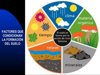FACTORES QUE
CONDICIONAN
LA FORMACIÓN
DEL SUELO
 
