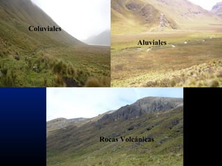 Coluviales
Aluviales
Rocas Volcánicas
 