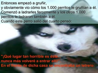 Entonces empezó a gruñir,   y  obviamente vio cómo los 1.000 perritos   le gruñían a él. Comenzó a ladrarles ferozmente y los otros 1.000 perritos   le   ladraron también a él.  Cuando este perro salió del cuarto pensó: "¡Qué   lugar tan horrible es éste...  nunca más volveré a entrar allí!".  En el frente de dicha casa se encontraba un letrero: 