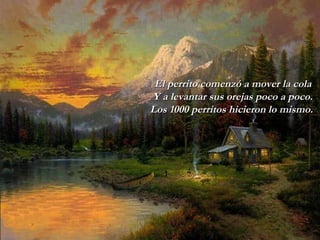 El perrito comenzó a mover la cola Y a   levantar sus orejas poco a poco. Los 1000 perritos hicieron lo mismo.  