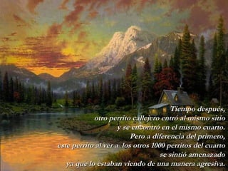 Tiempo después, otro perrito callejero   entró al mismo sitio y se   encontró   en el mismo cuarto. Pero a diferencia del primero, este perrito al ver   a   los otros 1000 perritos del cuarto se sintió   amenazado ya que lo estaban viendo de una manera agresiva. 