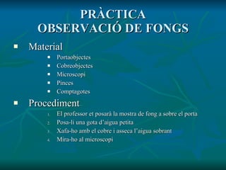 PRÀCTICA OBSERVACIÓ DE FONGS Material Portaobjectes  Cobreobjectes Microscopi Pinces Comptagotes Procediment El professor et posarà la mostra de fong a sobre el porta Posa-li una gota d’aigua petita Xafa-ho amb el cobre i asseca l’aigua sobrant Mira-ho al microscopi 