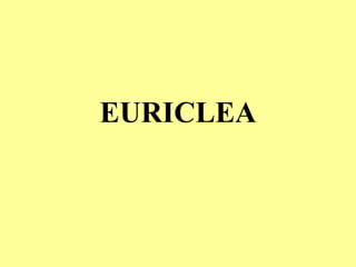 EURICLEA
 