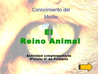 El  Reino Animal Actividad complementaria 2ºciclo: 4º de Primaria Conocimiento del Medio 