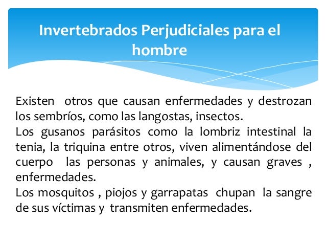 Como se ve la análisis de sangre en los helmintos