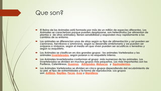 Que son?
 El Reino de los Animales está formado por más de un millón de especies diferentes. Los
Animales se caracterizan porque pueden desplazarse, son heterótrofos (se alimentan de
plantas o de otros animales), tienen sensibilidad y responden muy rapidamente a los
cambios de su entorno.
 Los animales se diferencian unos de otros según su tipo de alimentación y así pueden ser
carnívoros, herviboros o omnívoros, según su desarrollo embrionario y así pueden ser
ovíparos o vivíparos, según el medio en que viven pueden ser acuáticos o terrestres y
según su esqueleto.
 Los Animales se clasifican en dos grandes grupos : los animales Vertebrados y los
animales Invertebrados, según posean o no esqueleto interno.
 Los Animales Invertebrados conforman el grupo más numeroso de los animales. Los
Invertebrados se dividen en muchos grupos más pequeños. Los más importantes son los
Poríferos, Celentéreos, Gusanos, Artrópodos, Moluscos y Equinodermos.
 Los Animales Vertebrados se dividen en cinco grupos dependiendo del recubrimiento de
su piel, el tipo de extremidades y la forma de reproducirse. Los grupos
son: Anfíbios, Reptiles, Peces, Aves y Mamíferos
 