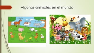 Algunos animales en el mundo
 