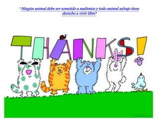 “Ningún animal debe ser sometido a maltratos y todo animal salvaje tiene
derecho a vivir libre”
 