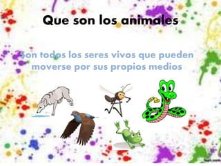 Que son los animales
Son todos los seres vivos que pueden
moverse por sus propios medios
 
