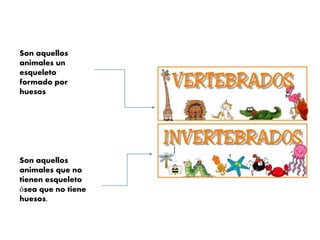 Son aquellos
animales que no
tienen esqueleto
ósea que no tiene
huesos.
Son aquellos
animales un
esqueleto
formado por
huesos
 