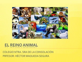 EL REINO ANIMAL
COLEGIO NTRA. SRA DE LA CONSOLACIÓN
PRFESOR: HÉCTOR MAQUEDA SEGURA
 