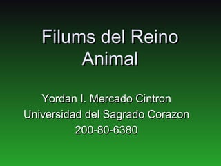 Filums del Reino
        Animal

   Yordan I. Mercado Cintron
Universidad del Sagrado Corazon
          200-80-6380
 