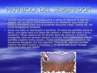 PARÁBOLA DEL SEMBRADOR “ Un día, mucha gente fue a escuchar a Jesús de Nazaret al lago de Galilea. Se reunieron tantas personas a su alrededor que Jesús se subió a una barca para que le pudieran escuchar mejor. Desde allí, les contó la siguiente parábola: « Una vez salió un sembrador a sembrar. Al echar las semillas sobre la tierra, una parte cayó a lo largo del camino y vinieron las aves y se la comieron. Otras cayeron en un terreno lleno de piedras y brotaron enseguida, pero se secaron porque no tenían tierra para crecer. Otras semillas cayeron entre zarzas y malas hierbas; cuando crecieron, las zarzas las ahogaron con sus espinas. Finalmente, algunas semillas cayeron en tierra buena y crecieron. Y el sembrador pudo recoger todos los frutos que dieron   