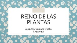 REINO DE LAS
PLANTAS
Julia,Alex,Gerardo y Celia
CASIOPEA
 