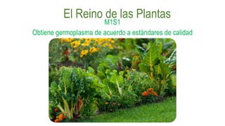El Reino de las Plantas
M1S1
Obtiene germoplasma de acuerdo a estándares de calidad
 