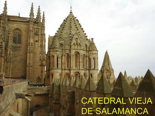 COLEGIATA DE TORO