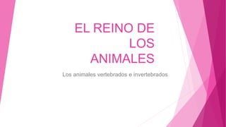 EL REINO DE
LOS
ANIMALES
Los animales vertebrados e invertebrados
 