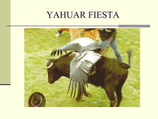 YAHUAR FIESTA 